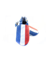 Choose a flag - Image 11