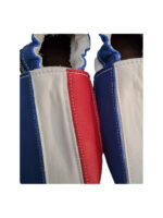 French flag