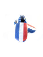 French flag - Image 5
