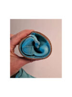 size 31 Zippy - uni caraibe - Image 7