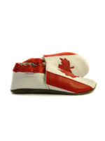 Canadian flag - Image 2