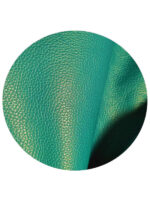 Zippy - caraibe - Image 6