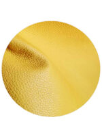 Zippy - soleil - Image 6
